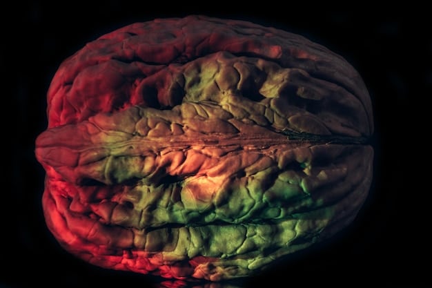 A close-up diagram of the brain highlighting the amygdala and prefrontal cortex, with arrows indicating how the 