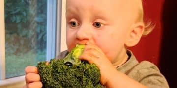 Baby-Led Weaning: Top 5 Mistakes and How to Avoid Them - Cover Image