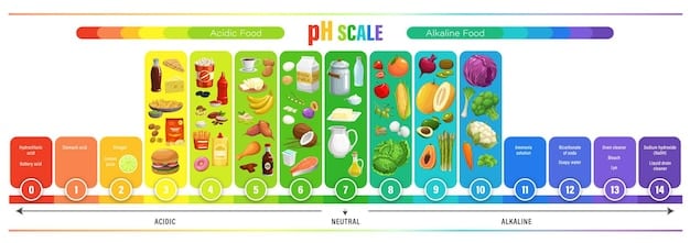 A colorful chart illustrating different baby food options and portion sizes for infants aged 6 to 12 months. The chart includes images of pureed fruits, vegetables, and proteins.