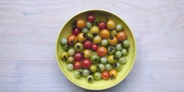 Choking Hazards: 10 Foods to Avoid Feeding Your Baby - Cover Image