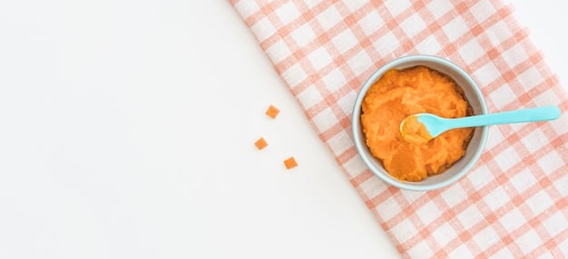 Baby Food Pouches vs. Homemade: Which is More Nutritious?