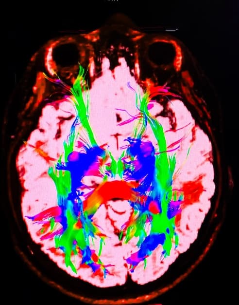 A split image showing a brain scan on one side with highlighted areas of activation during nature exposure, and on the other side, a peaceful forest scene, visually linking science with the natural experience.