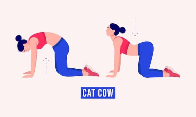 A woman on her hands and knees, demonstrating the cat-cow stretch. In the cat position, her back is rounded towards the ceiling, and her head is tucked down. In the cow position, her back is arched downwards, and her head is lifted.