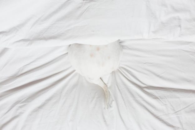 A medium shot of a worn mattress with visible sagging in the center and frayed edges. Dust and debris are visible within the crevices, indicating age and wear. Part of bed is visible so someone can see the full context of usage.